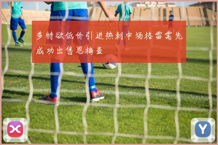 多特欲低价引进热刺中场格雷需先成功出售恩梅查