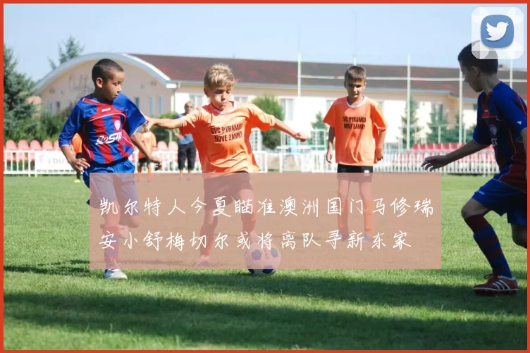 凯尔特人今夏瞄准澳洲国门马修瑞安小舒梅切尔或将离队寻新东家